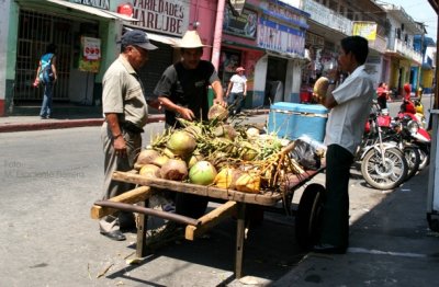 Ventas de Cocos son Comunes en el Poblado