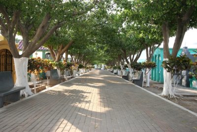 Calzada Principal del Cementerio Local