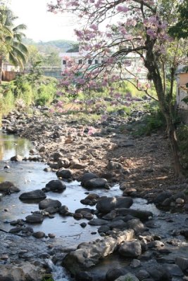 Rio Susu (Jordan)