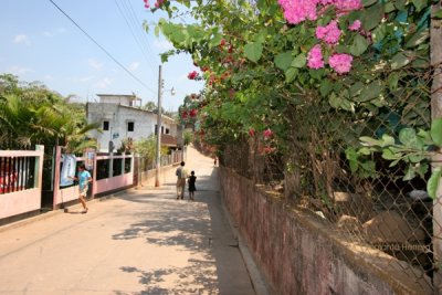 Calle en la Parte Norte del Poblado