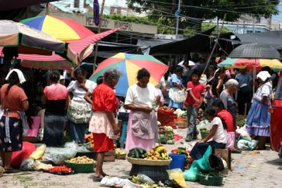 Escena Cotidiana en el Mercado Local