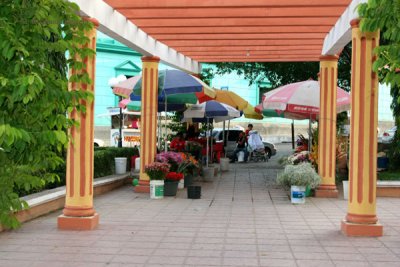 Venta de Flores en un Area Especifica del Parque Central