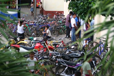 La Bicicleta es un Medio de Transporte Comun Aqui