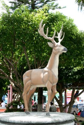 El Vendado es el Simbolo de este Municipio