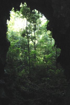 Vista Panoramica de una de los Ingresos  a la Cuava