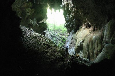 Vista Desde el Interior Hacia el Exterior de la Gruta