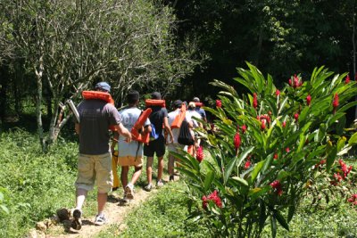 Flores Silvestres Adornan el Sendero a la Cueva