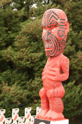 Esculturas Maori Tradicionales en Rotorua