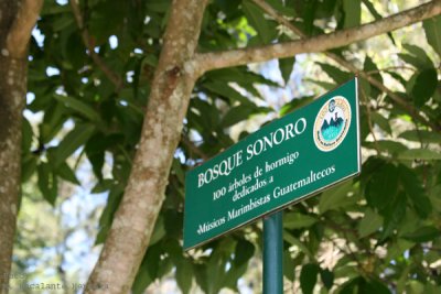 Bosque Sonoro en el Parque que Rodea al Mapa