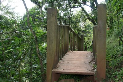 Puente en uno de los Senderos Hacia los Miradores