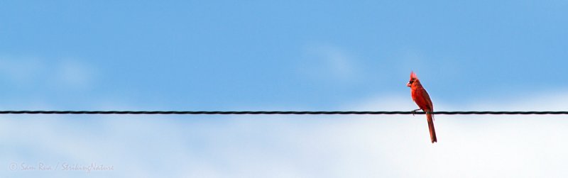 Long Distance Line