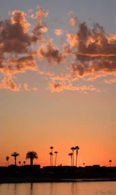 Mission Bay Sunset 