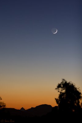 Crescent Moon Sunset