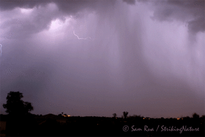 Lightning Show