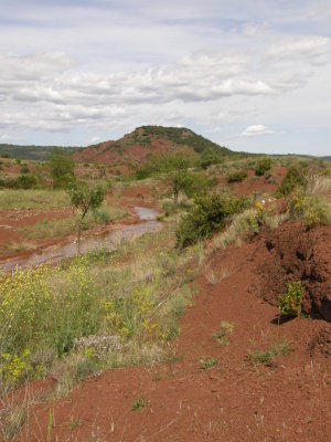 Terre rouge de bauxite