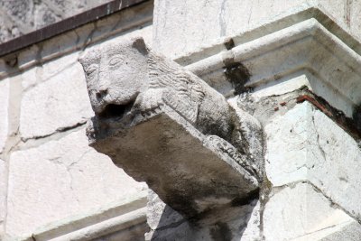 IMG_0649