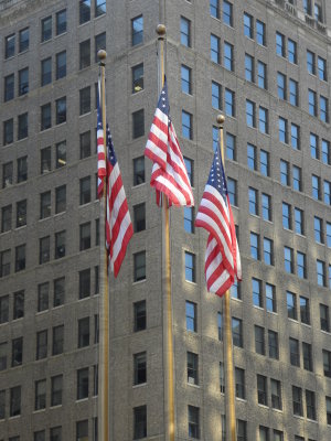 P8291094