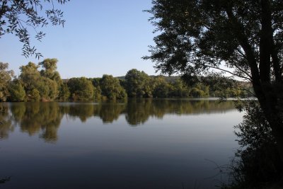IMG_5054