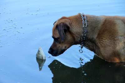 Etrange tte  tte -  Alone together