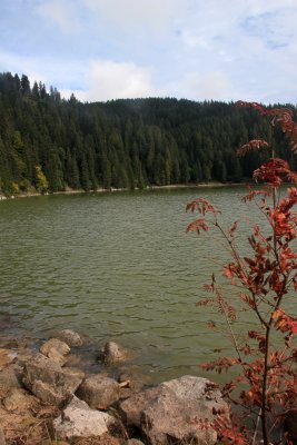 Le lac vert - The green lake