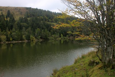 Promenade autour du lac des Truites - Walking around the lake of trouts