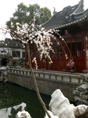 Yuyuan garden