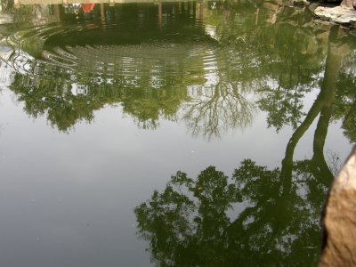 Reflection in the Yuyuan garden