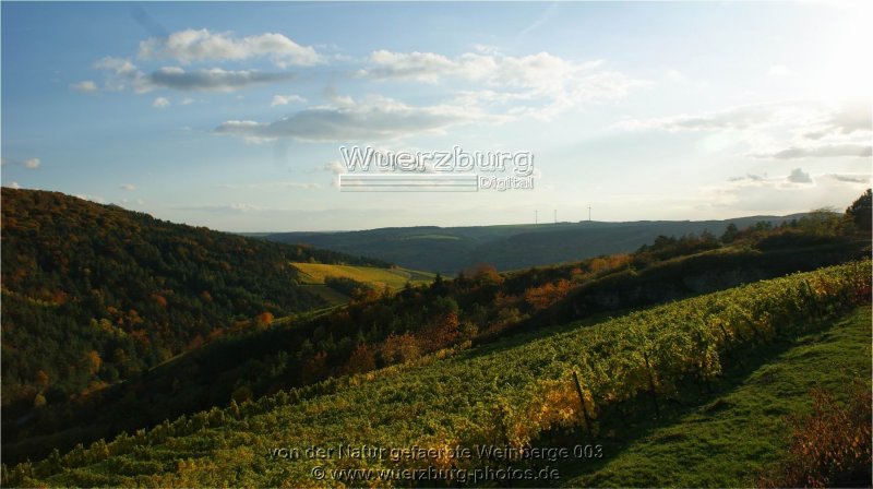 von der Natur gefaerbte Weinberge 003.jpg