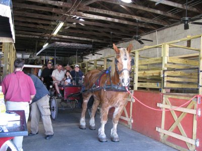 CARRIAGE RIDES