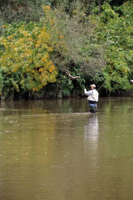 FLY FISHING ON ELK CREEK