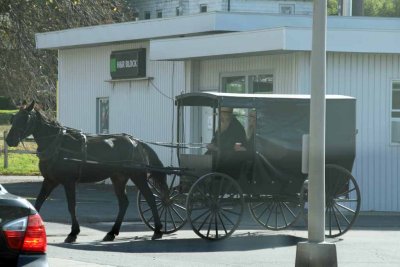 AMISH COUNTRY