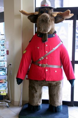 MOUNTIE MOOSE