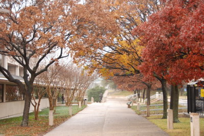Winter at UTD