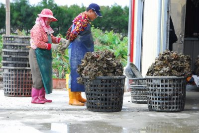 芳苑洪氏秋房祖厝