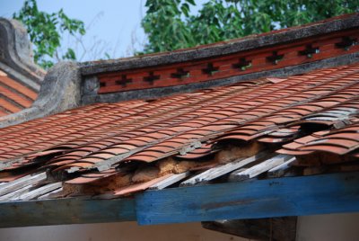 g1/03/744603/3/118340962.LEuGALha.jpg