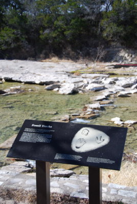 Dinosaur Valley State Park_恐龍谷(B)