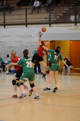 DSC_1239.jpg