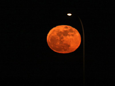 IMG_0188--lune rouge--900.jpg