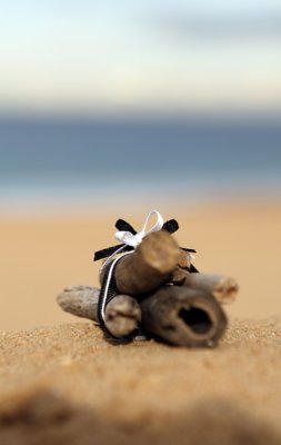 driftwood wedding