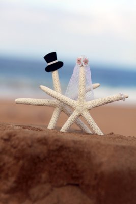 starfish wedding