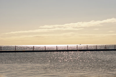 Collaroy Pool