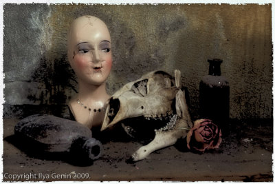 04 Still life with skull.jpg