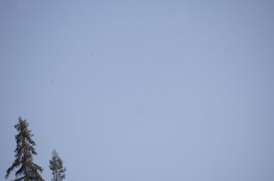 g1/03/797203/3/103829832.4EtXbwbX.jpg
