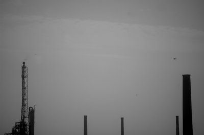 g1/03/797203/3/105496842.FEgN5Akb.jpg