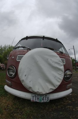 DSC_0120.jpg