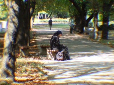 Woman Begger in Park