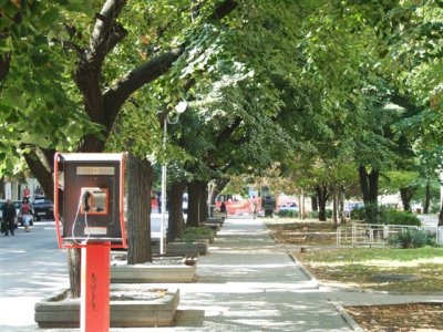 Tree line street into City centre