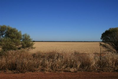 1st site visit (18).jpg