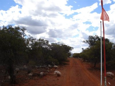 Bush Track