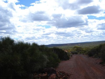 local area